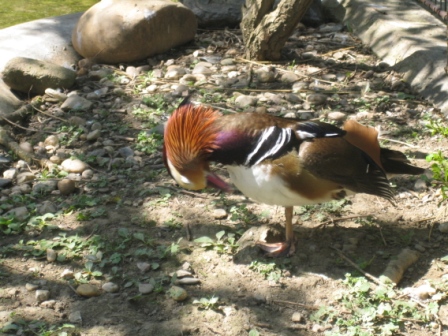 snímek6.jpg